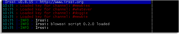 blowssi loaded in irssi